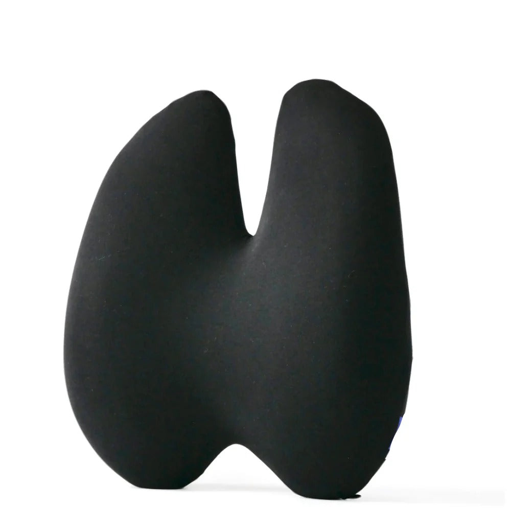 Orthopädisches Rückenstützkissen